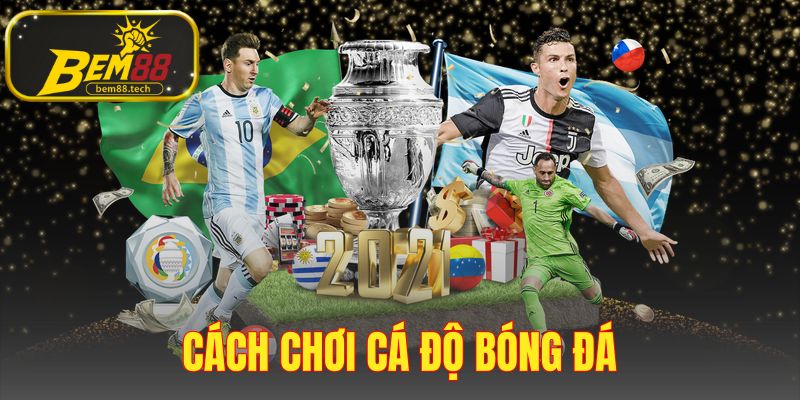 Cách Chơi Cá Độ Bóng Đá