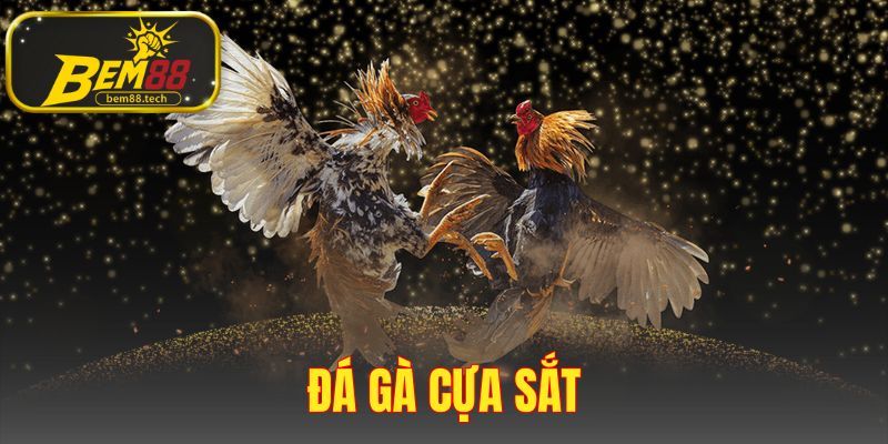 Đá Gà Cựa Sắt