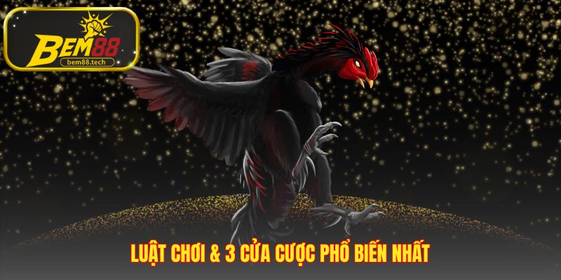 Đá gà cựa sắt có ba cửa cược là Meron Wala và BDD